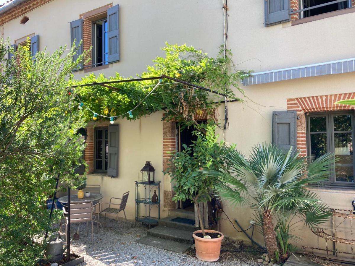 16 Bis-Gite-Hotel-Studio Marssac-sur-Tarn Exterior photo